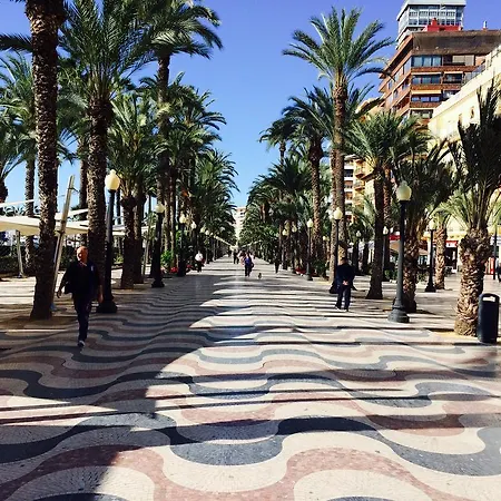 Francisco Escolano * Alicante